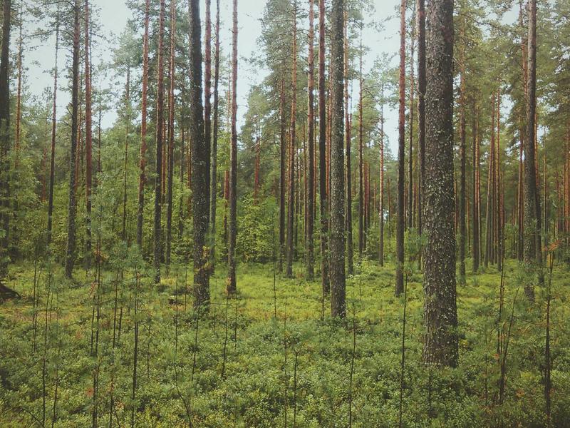 Asunto Oy Ulvilantie 10